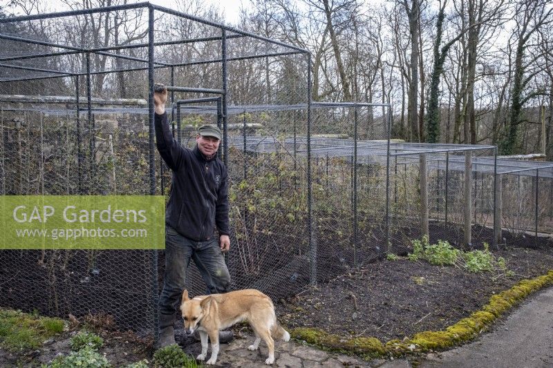 Tom Coward and his dog Gwen outside the fruit cages at Gravetye Manor