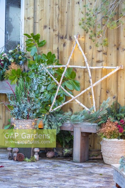 Light up Birch star on wooden bench with Pine and Laurel branches next to wicker container with Juniper, Eucalyptus sprigs and Cornus sticks and another container with Thuja, Fern and Skimmia on the other side