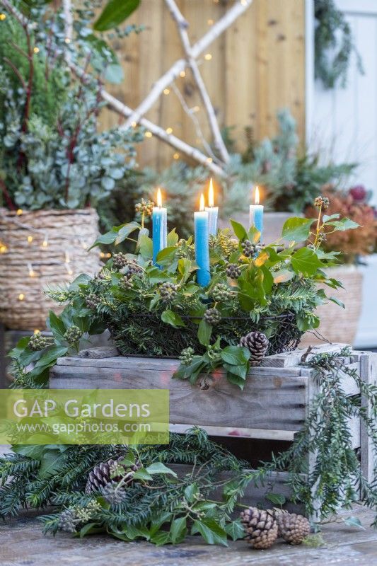 Candles in metal basket with Ivy Hedera and Yew sprigs on wooden crate with more Ivy, Yew and pinecones on the ground beneath it