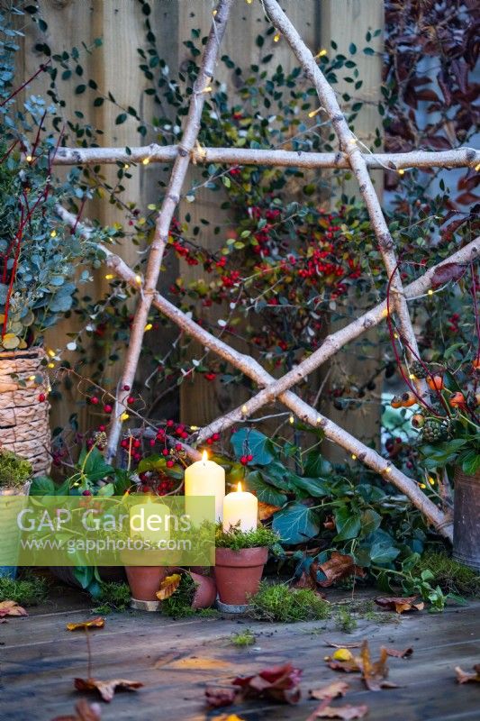 Candles in terracotta pots with moss in front of light up Birch star, cotoneaster and a trug of Ivy
