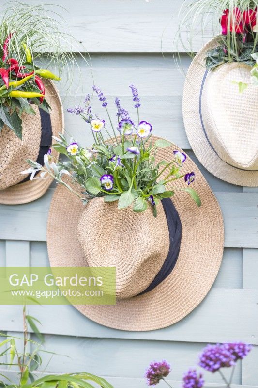 Hat planter containing Lavender and Violas hanging on wooden fence