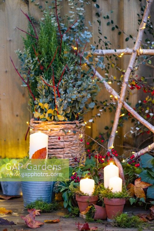 Candles in terracotta pots and one in a metal bucket with moss in front of Birch star, wicker pot containing juniper, Cornus sticks and Eucalyptus sprigs with a trug of Ivy