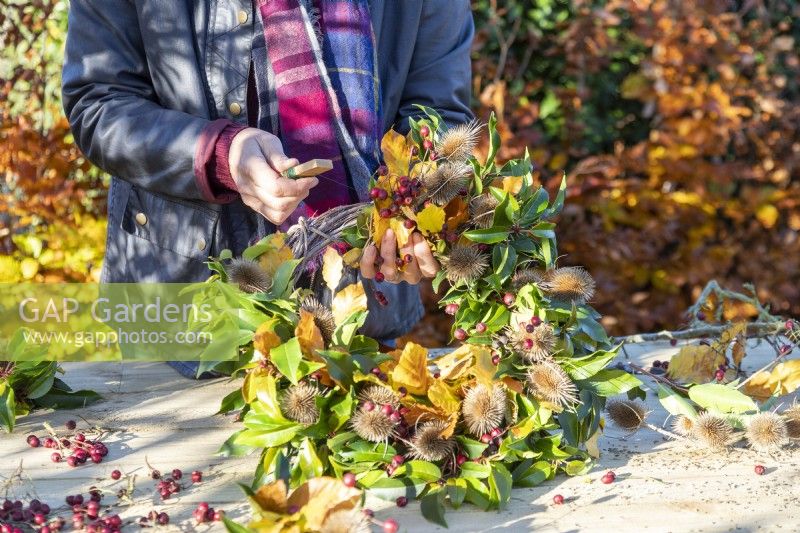 Woman wiring bundles of Beech sprigs, Portuguese laurel sprigs, Teasel heads and Hawthorn twigs to wreath