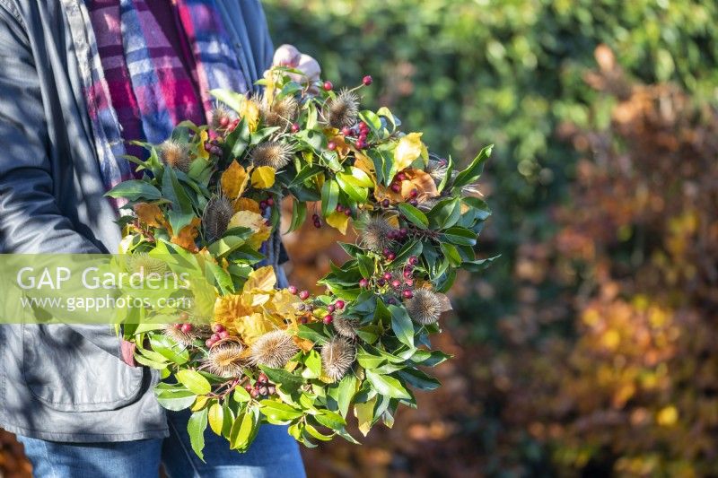 Woman holding up wreath made up of Beech sprigs, Portuguese laurel sprigs, Teasel heads and Hawthorn twigs