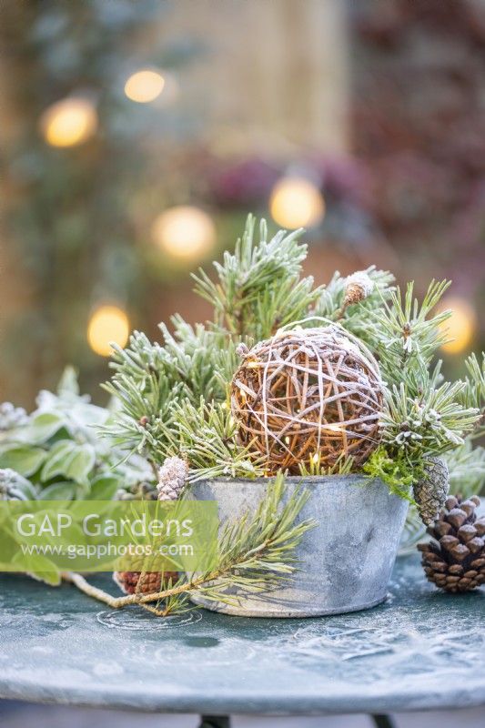 Wicker ball wrapped in lights in a metal pot with Pine sprigs and pinecones on a metal table covered in frost