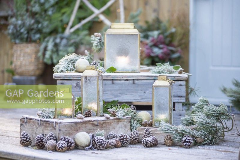 Lanterns with water on glass from melted frost with Pine sprigs and pinecones on wooden crates - covered in frost