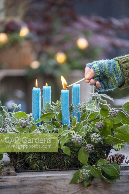 Woman lighting candles in basket with Yew sprigs and Ivy