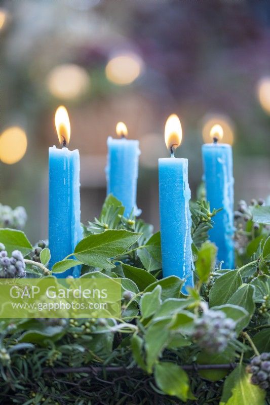 Blue candles in metal basket with Yew sprigs and Ivy on wooden crate