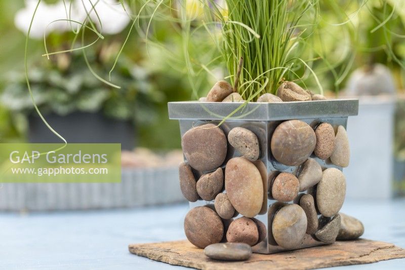 Small metal pot with stones glued to it planted with Carex 'Frosted Curls'