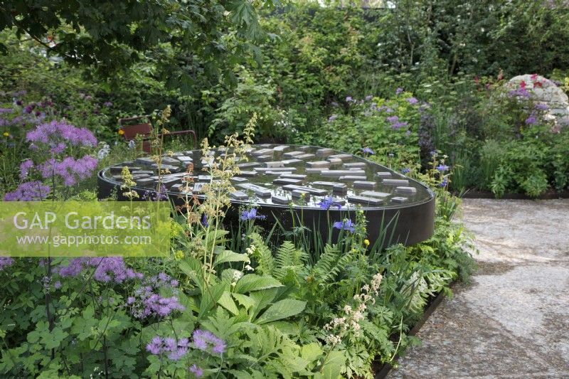 Rodgersia podophylla has been planted close to the water feature in Horatio's Garden - Designer: Charlotte Harris and Hugo Bugg  -Sponsor: Project Giving Back -