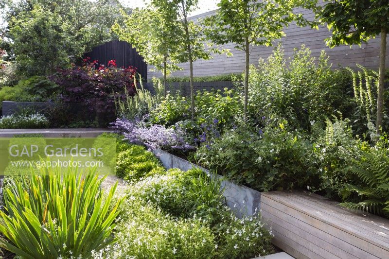 Raised beds with mixed planting in contemporary garden