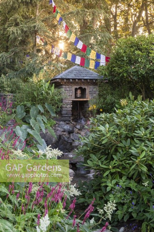 Prayer flags and a stone building with slate roof containing a water driven prayer wheel and waterfall over stones and rocks surrounded by planting of Pinus wallachiana, Rhododendrons, Persicaria amplexicaulis and Persicaria affinis 'Darjeeling Red' - The Trailfinders 50th Anniversary Garden September 2021