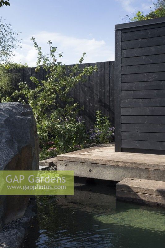 Timber frame wooden deck with steps leading down to a cold water plunge pool - a black painted fence with Malus domestica - Apple tree  - The Finnish Soul Garden RHS Chelsea Flower Show September 2021