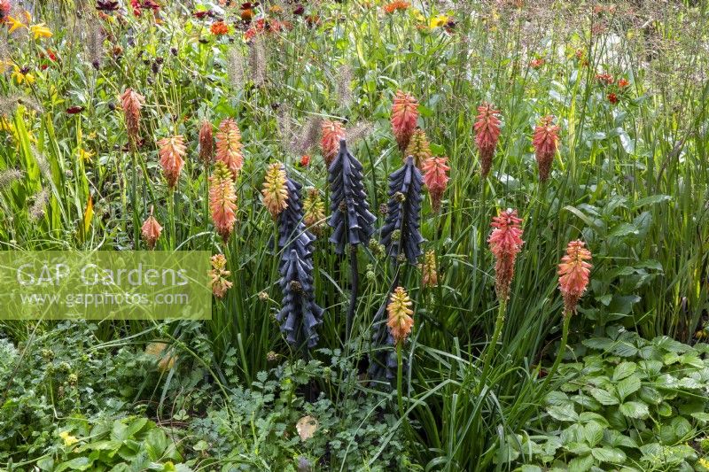 Mixed planting of Kniphofia 'Redhot Popsicle', Cosmos atrosanguineus 'Black Magic', Fragaria vesca and ornamental grasses of Pennisetum alopecuroides and Melica altissima with a black metal sculpture of red hot poker plants