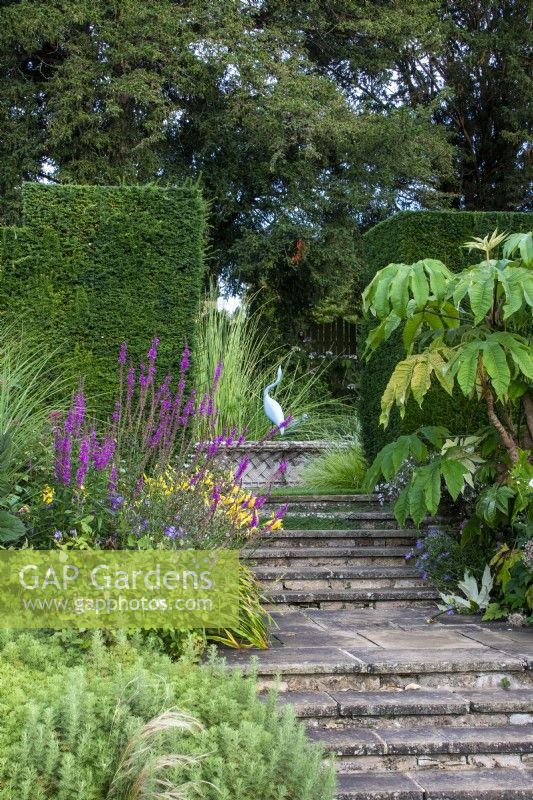 Steps leading through the West Lawn Border and a clipped Taxus baccata hedge to the grass garden at Bourton House Garden, Gloucestershire.