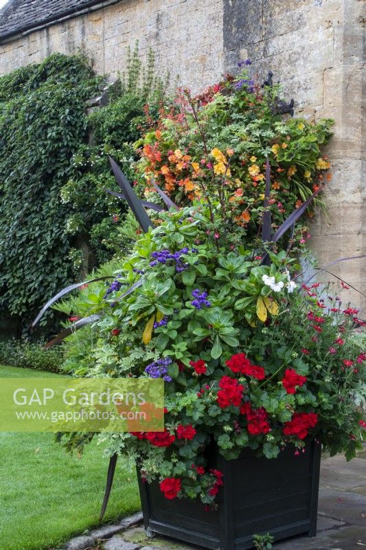 A black square container planted for summer colour at Bourton House Garden, Gloucestershire