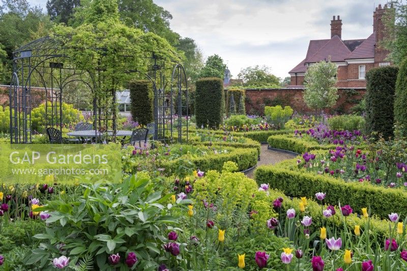 An arbour, hand forged by George James  and  Sons Blacksmiths, sits in a circular arrangement of box-edged beds planted with tulips, euphorbia, peonies and honesty. Yew columns add permanence.