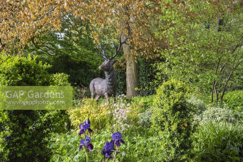Stag Sculpture stands amidst bluebells beneath a copper beech tree.