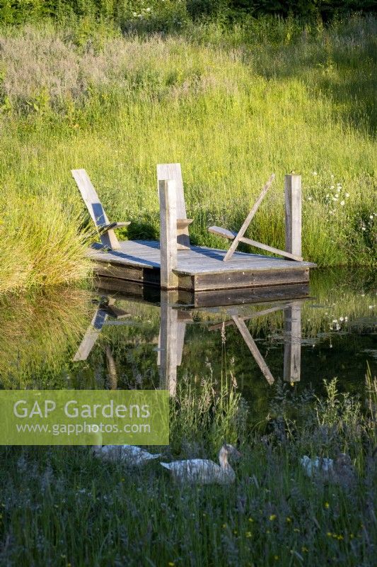 A family of ducks on the banks of a natural pond, wooden landing stage with rustic wooden chairs behind