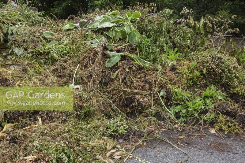 Pile of composting plants, branches and leaves in summer.