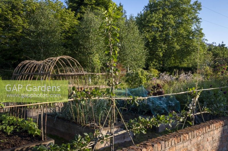 Raised vegetable garden with brick wall boundary and an arch of willows for runner bean support