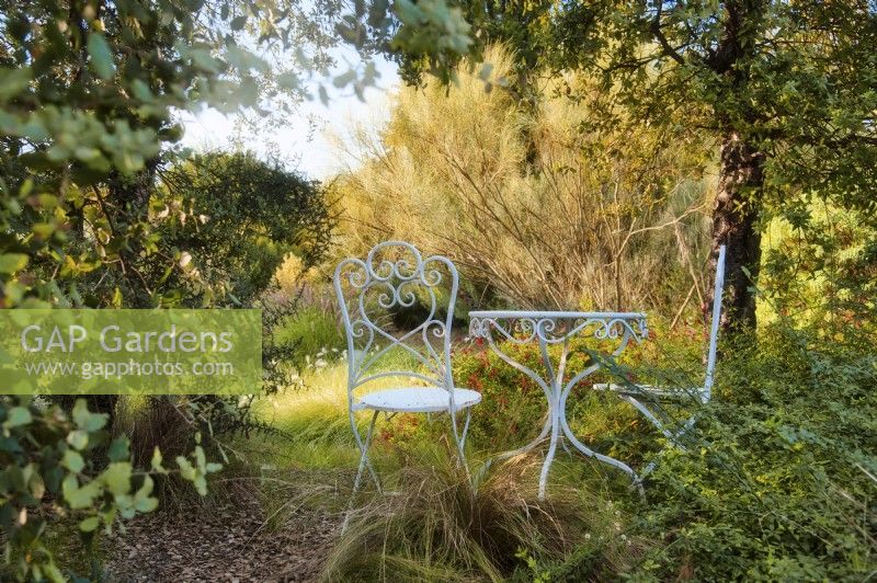 Mediterranean garden view with romanic settings of table and chairs.

Italy, Tuscan Maremma, Orbetello
Autumn season, October
