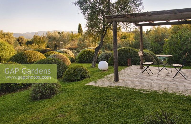 Mediterranean garden view to drought tolerant round shaped topiary with different colored species with central Quercus suber or Cork Oak tree and wooden gazebo with table and chairs setup. 
Italy, Tuscan Maremma, Orbetello
Autumn season, October

