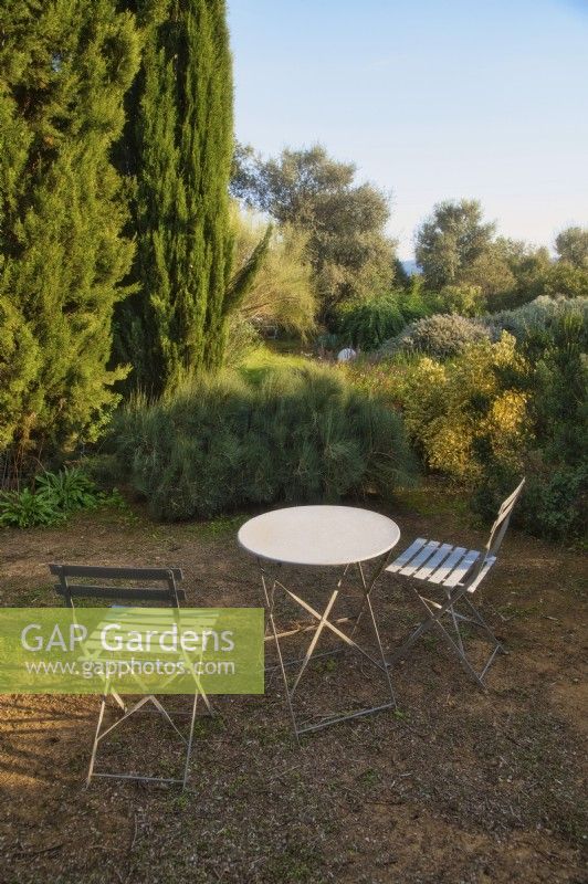 Mediterranean garden view with mass planting of drought tolerant plants, bushes and trees as Ephedra sinica, Cupressus Sempervirens or Italian-Cypress and romantic setting with table and chairs. 
Italy, Tuscan Maremma, Orbetello
Autumn season, October
