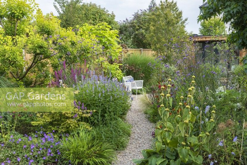 A pebble path edged in perennials. Left border: golden smoke tree, Indian bean tree, Agastache 'Blue Fortune', hardy geraniums, pink lythrum and betony. Right border: Phlomis russeliana, scabious, Verbena bonariensis and helenium.