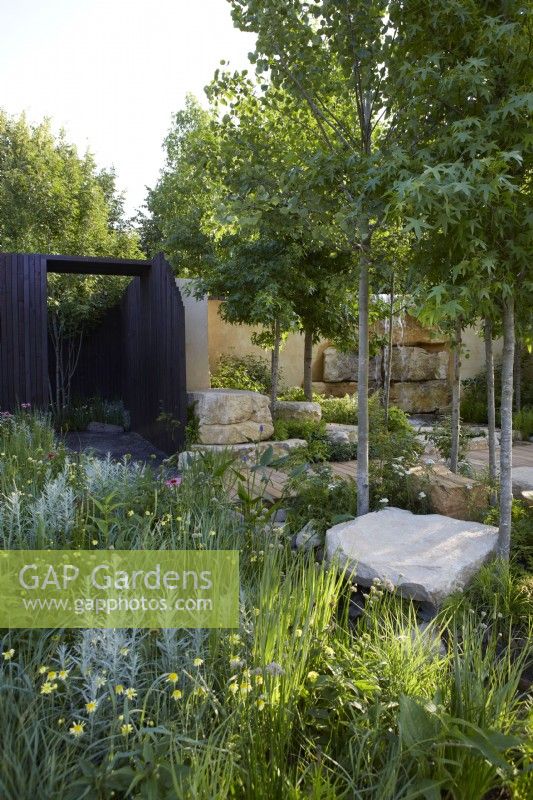 America's Wild garden. Designers: Emily Grayshaw, Imogen Perreau and Jude Yeo - Inspired Earth Design -  RHS Hampton Court Palace Garden Festival 2023. Shady woodland planting. Waterfall in background. Summer.