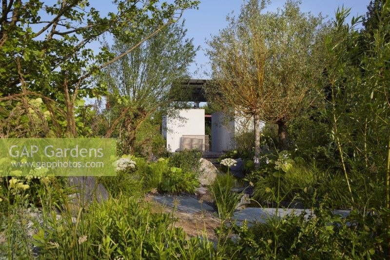 Cancer Research UK Legacy Garden. Designer: Paul Hervey Brookes. RHS Hampton Court Palace Garden Festival 2023. View through garden to seating area in the Pledge Pavillion. Summer.