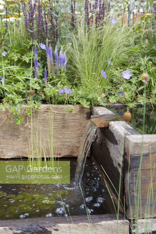 Nurturing Nature in the City. Designers: Caroline and Peter Clayton. Wildlife-friendly sustainable garden space. Reclaimed timber pools with mini water spout. Summer.
