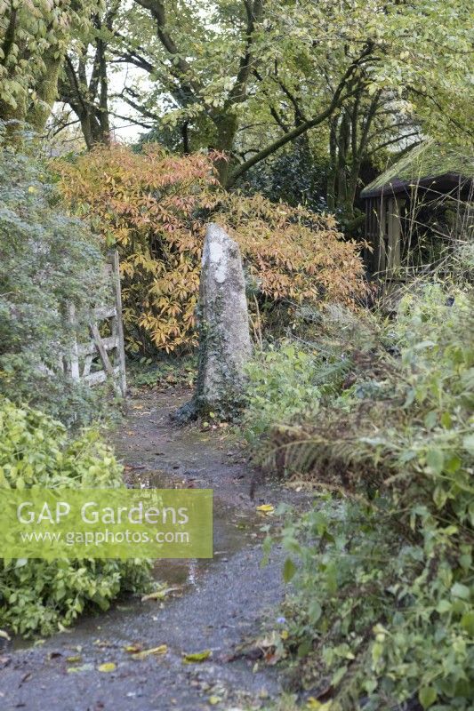 An open wooden gate with a granite post, with a path running through and trees and shrubs around with autumn foliage and colour. The Garden House, Yelverton. Autumn, November