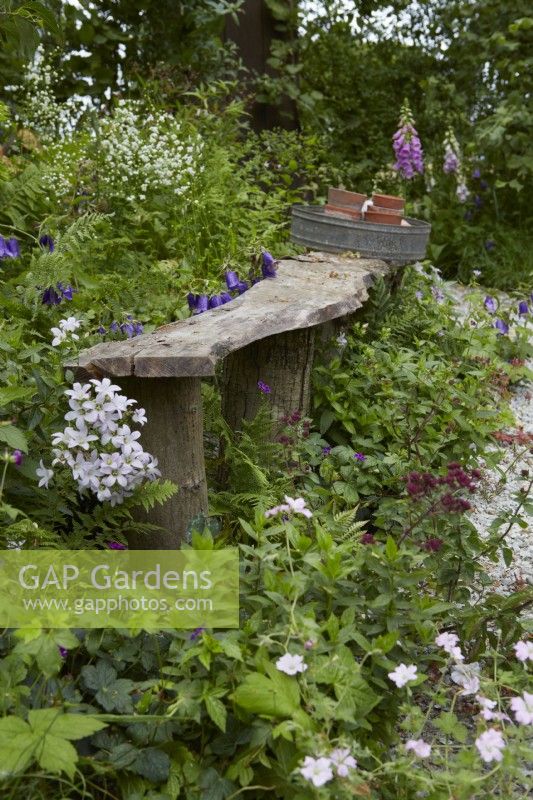 Designers: Jo Thompson and Kate Bradbury. Wooden seating area in dry gravel garden. Plants include campanula, digitalis, geranium and Thalictrum delavayi 'Splendide White'. Summer.