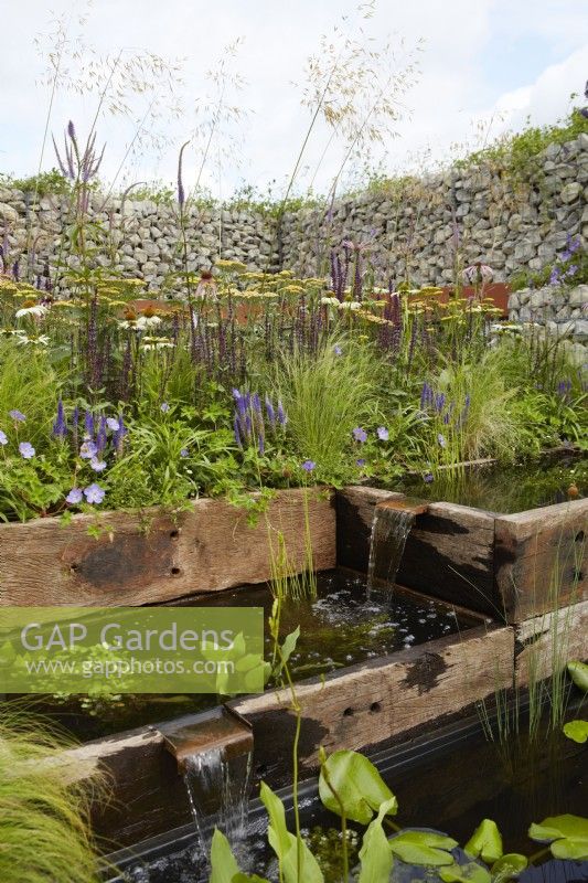 Designers: Caroline and Peter Clayton. Wildlife-friendly sustainable garden space. Reclaimed timber pools with mini water spout. Bordered by Echinacea 'White Swan', Achillea millefolium 'Terracotta', Geranium 'Johnston Blue' and Salvia 'Amistad'.