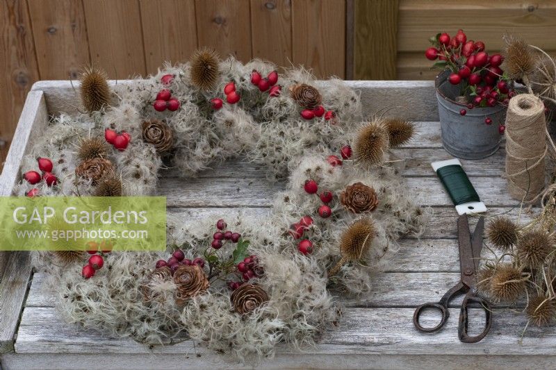 Step-by-Step making a Countryside Wreath from a wire frame wrapped in old man's beard. Step 1: experiment with loosely positioning the rose hips, hawthorn berries, teasels and cedar seed cones.