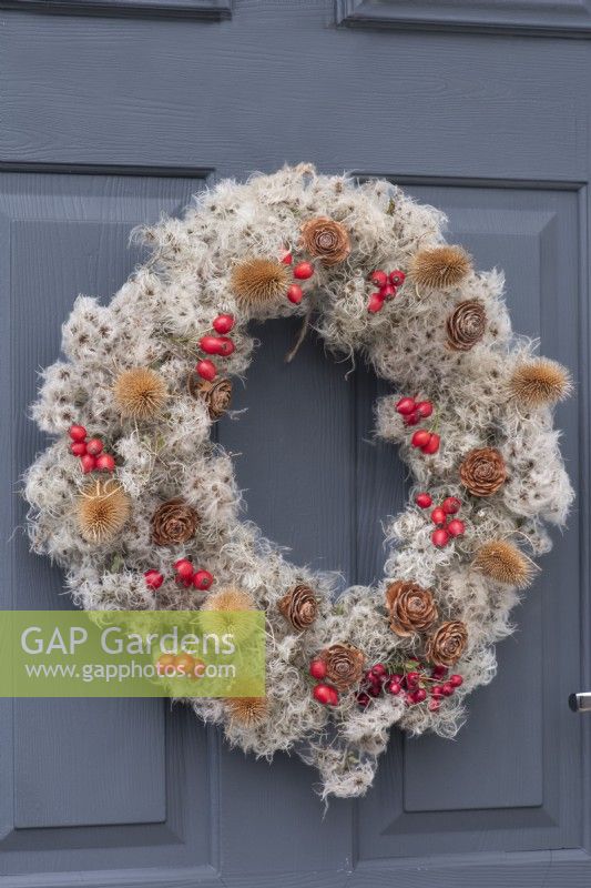 A Countryside Wreath. A florists' wire frame is wrapped in old man's beard, and decorated with rose hips, hawthorn berries, teasels and cedar seed cones.