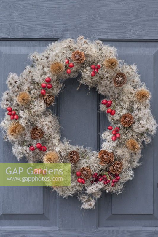 A Countryside Wreath. A florists' wire frame is wrapped in old man's beard, and decorated with rose hips, hawthorn berries, teasels and cedar seed cones.