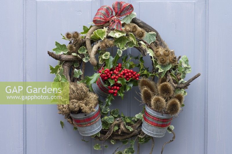 The Holly and the Ivy Wreath. Twisted twigs and ivy stems are wound round a metal frame and secured with wire. It is adorned with ivy, whilst three small buckets are filled with seasonal plant material: wild carrot seed heads and teasels sprayed with gold paint, and holly berries.