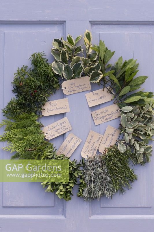 Worked examples of possible evergreens for wreaths identified by handwritten labels.