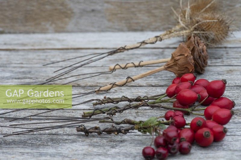 Step 2: wrap florists' wire round the stems of  the rose hips, hawthorn berries and teasels, ready to secure on the frame. The tops of the cedar seed cones are glued onto wooden stems.