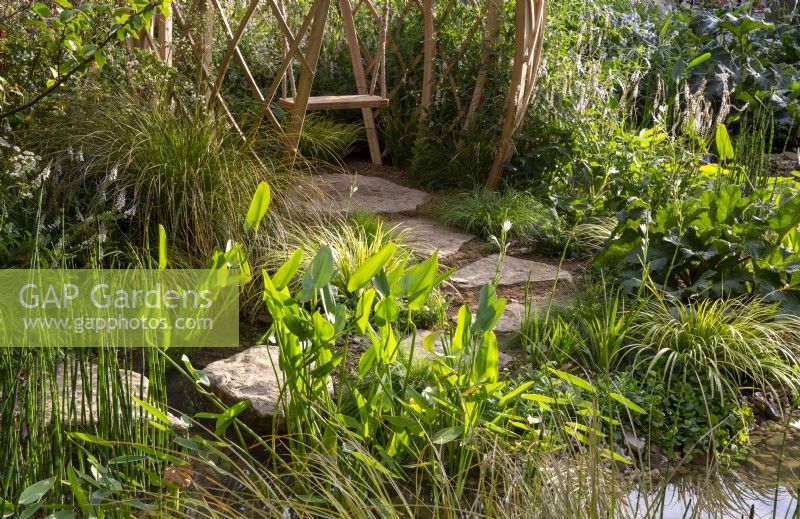 Stepping stones leading to a geodesic structure with a swing seat - pond with aquatic and marginal mixed planting - Thalia Dealbata, Sagittaria latifolia, Equisetum hyemale - rough horsetail