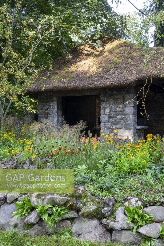 Drystone wall with Asplenium scolopendrium - old stone forge building with thatched roof - Malus - crab apple and mixed planting perennial border with Crocosmia, Echinacea, Helenium, ornamental grasses 