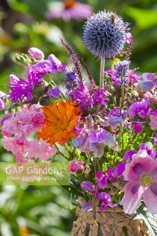 Summer bouquet with sweet peas, roses, monarda, pot marigold, echinops, persicaria and poppy.