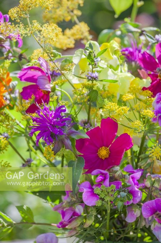 Summer flowers including bergamot, cosmos, sweet peas and fennel.