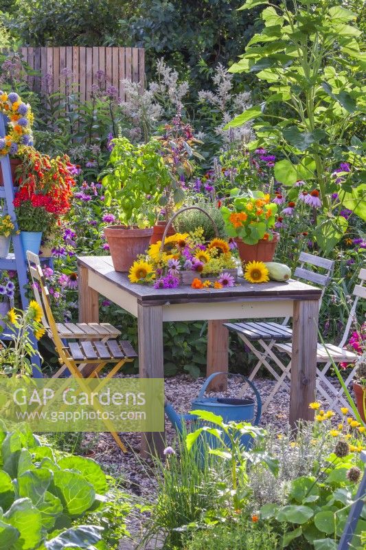 Display of harvsted edible flowers and pots with basil and nasturtium. Flowers including sunflowers, bergamot,  coneflowers and fennel.
