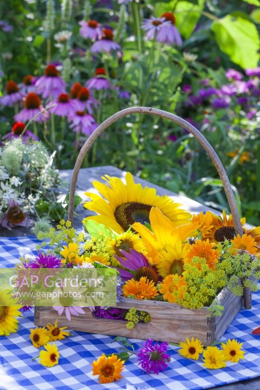 Trug with picked edible flowers including coneflowers, bergamot, sunflowers, fennel and pot marigold.