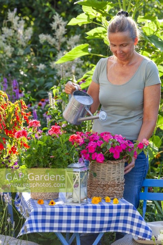 Woman watering Impatiens and Pelargonium in decorative containers.