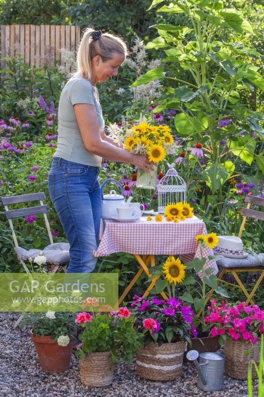 Woman placing a vase with sunflowers on the table, containers with Impatiens and Pelargonium.