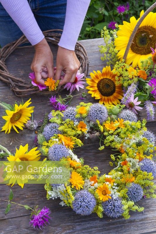 Woman making summer wreaths with sunflowers, pot marigold, fennel, globe thistles, wild carrots, coneflowers and bergamot.